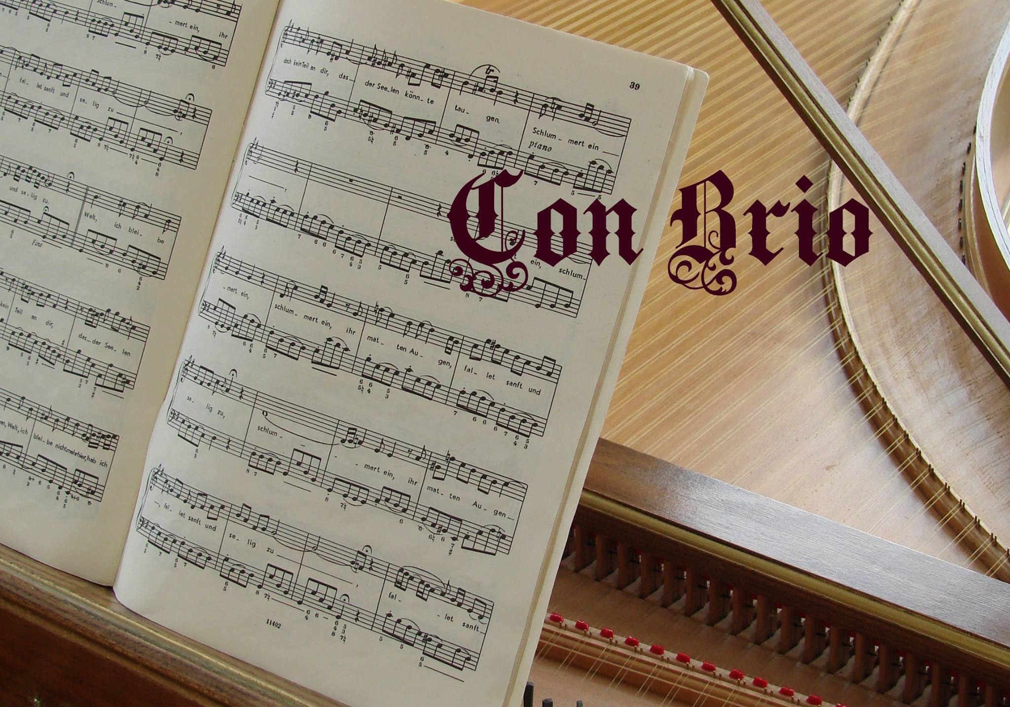 Musikschule Con Brio